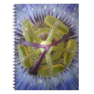Cuaderno Primer plano de flor de la pasión con rocío. Crédi