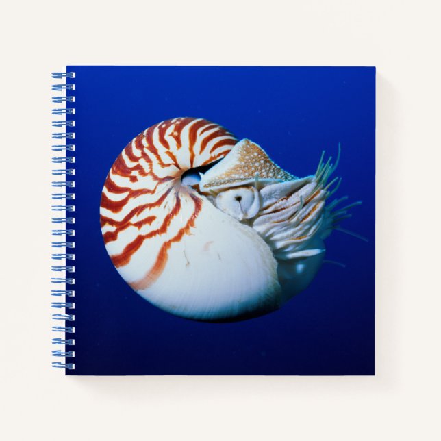 Cuaderno Primer Plano De Nautilus Camerado (Anverso)