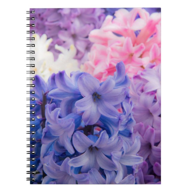 Cuaderno Primer plano de planta de jacinto (Frente)