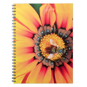 Cuaderno Primer plano extremo de una abeja recogiendo polen