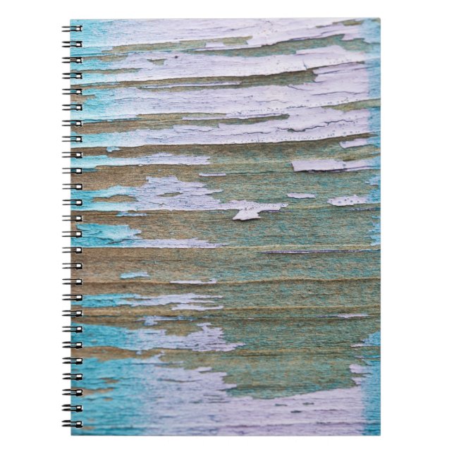 Cuaderno Primers 2 de la pintada (Frente)
