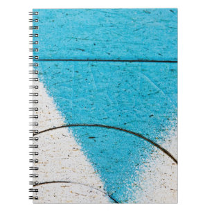 Cuaderno Primers de la pintada