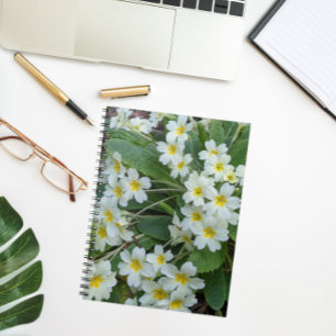 Cuaderno Primorrosos blancos con flor de centros amarillos