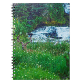 Cuaderno Príncipe de la Selva