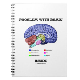 Cuaderno Problema con el interior del cerebro (anatomía cer