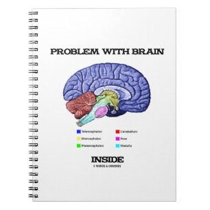 Cuaderno Problema con el interior del cerebro (anatomía de