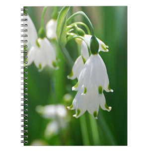 Cuaderno Producto del personalizar