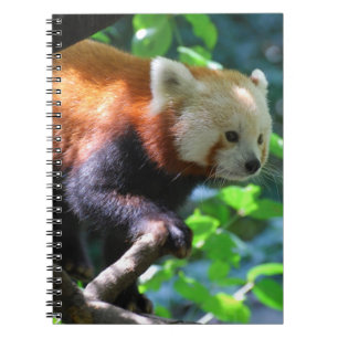 Cuaderno Producto del personalizar