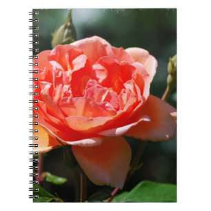 Cuaderno Producto del personalizar