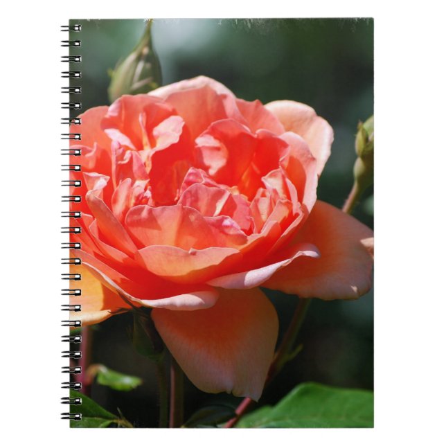 Cuaderno Producto del personalizar (Frente)