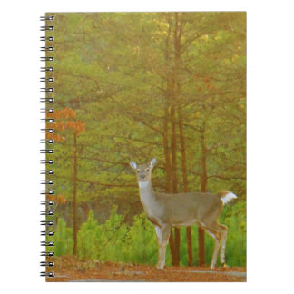 Cuaderno Producto personalizar