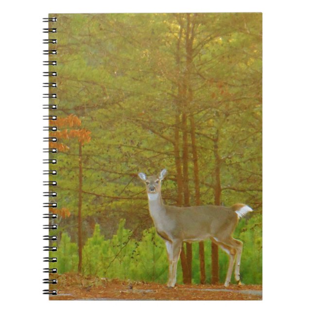 Cuaderno Producto personalizar (Frente)
