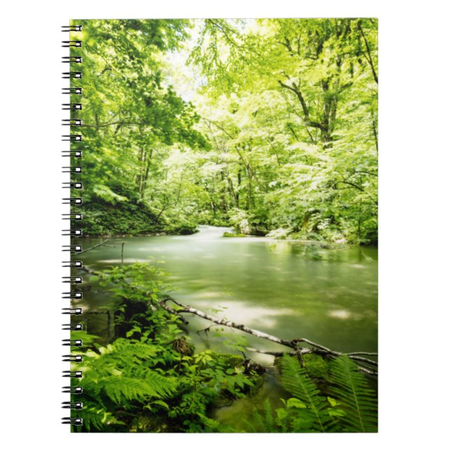 Cuaderno Profundamente en el bosque (Frente)