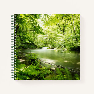 Cuaderno Profundo en el bosque