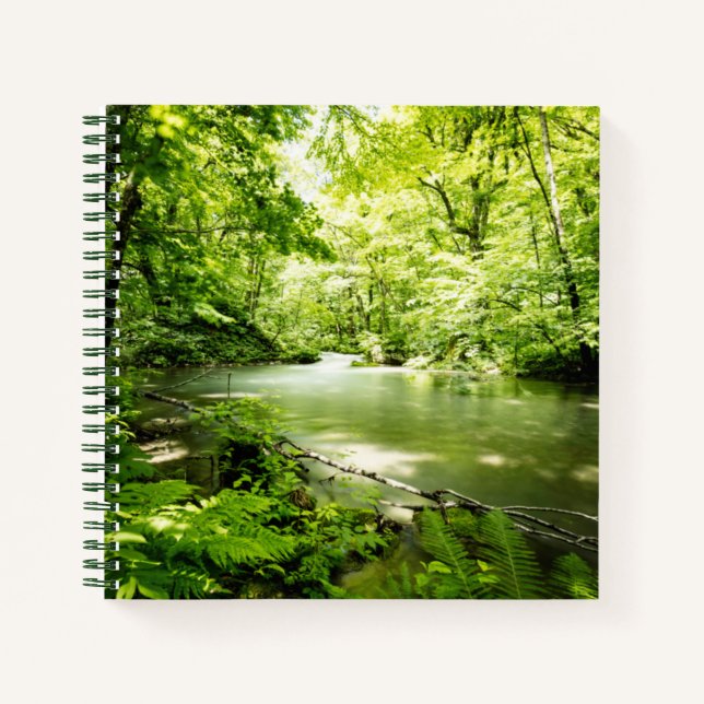 Cuaderno Profundo en el bosque (Anverso)