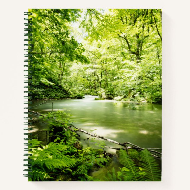 Cuaderno Profundo en el bosque (Anverso)