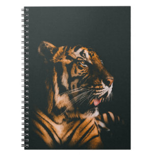 CUADERNO PRONIA DE TIGRE ADULTO ENCENDIDA DENTRO DE LA HABI