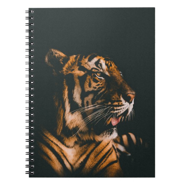 CUADERNO PRONIA DE TIGRE ADULTO ENCENDIDA DENTRO DE LA HABI (Frente)