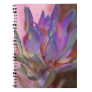 Cuaderno Protea inflamatoria