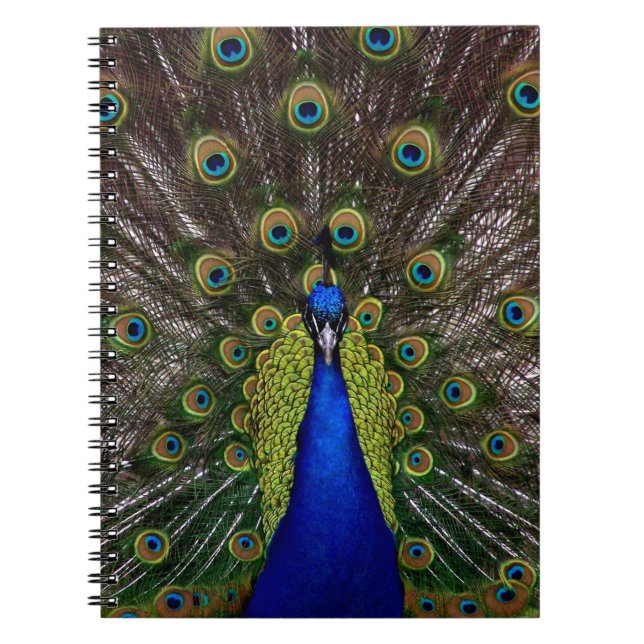 Cuaderno Proud Peacock notebook (Frente)