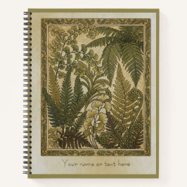Cuaderno Pteridomania: La Botánica Antigua de los Helechos