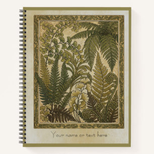 Cuaderno Pteridomania: La Botánica Antigua de los Helechos