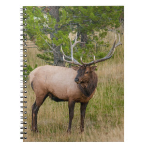 Cuaderno Pueblo Lago Elk Parque Nacional Yellowstone Wyomin