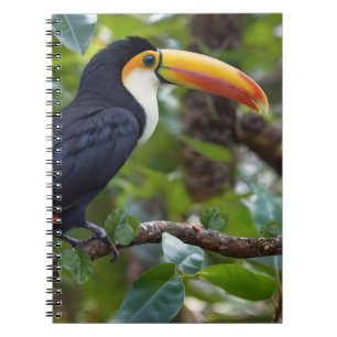 Cuaderno Puedes sentarte en las copas de los árboles,