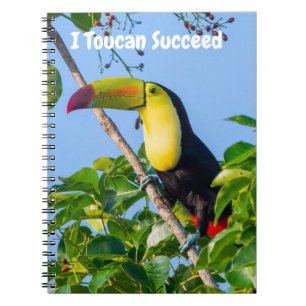 Cuaderno Puedo triunfar