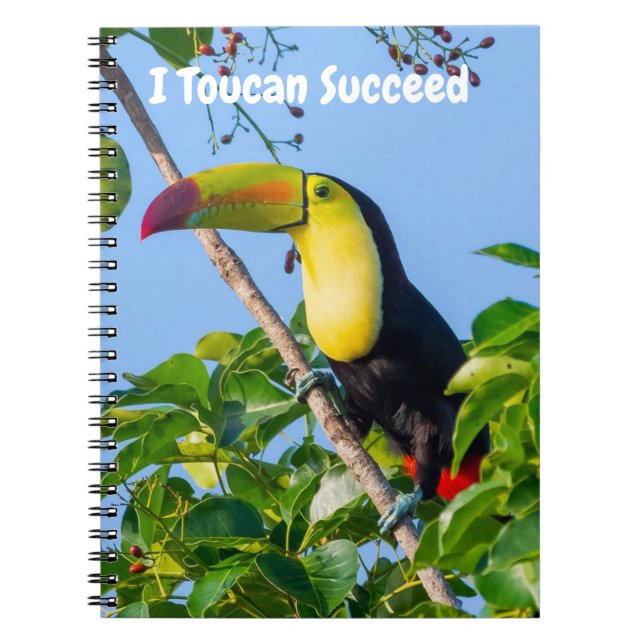 Cuaderno Puedo triunfar (Frente)
