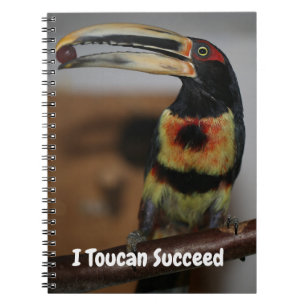 Cuaderno Puedo triunfar