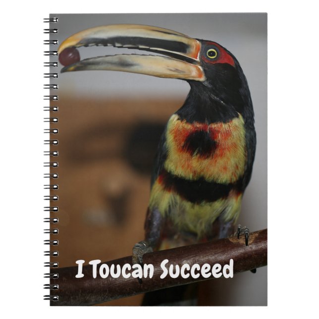 Cuaderno Puedo triunfar (Frente)