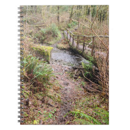 Cuaderno Puente de registro