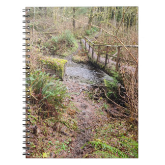 Cuaderno Puente de registro