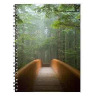 Cuaderno Puente del bosque de la secoya