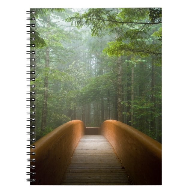 Cuaderno Puente del bosque de la secoya (Frente)