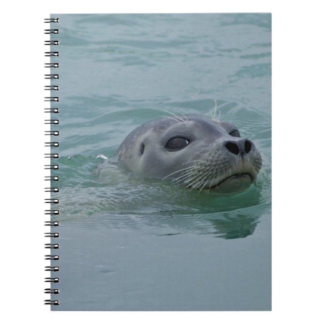 Cuaderno Puerto Natación de focas en el lago glaciar de Jok (Frente)