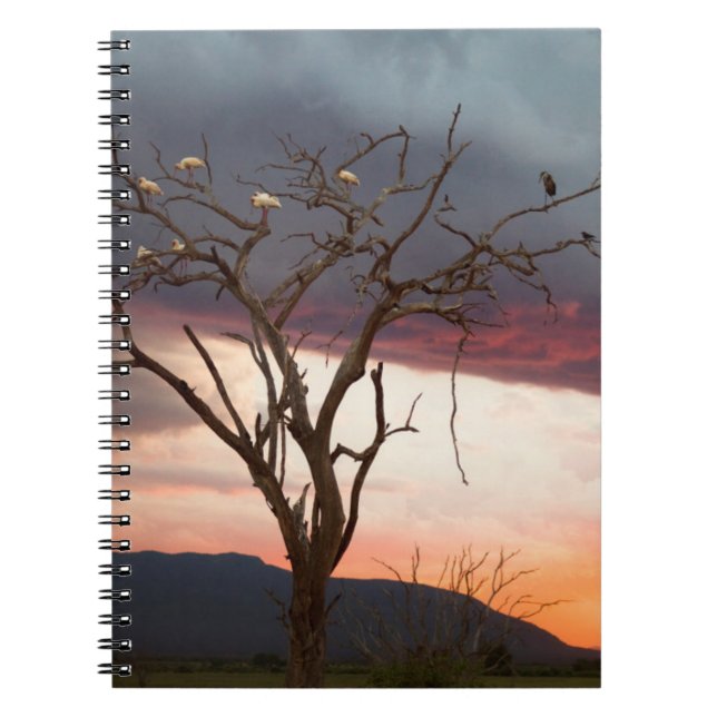 Cuaderno Puesta de sol en el pantano de Kandheri con espátu (Frente)