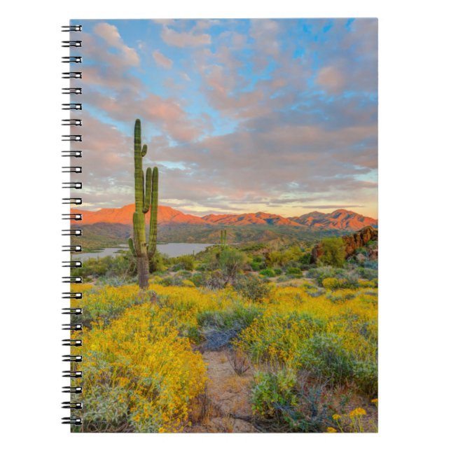 Cuaderno Puesta de sol en paisaje desértico (Frente)