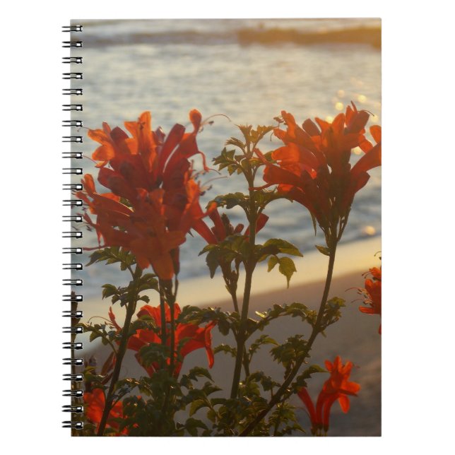Cuaderno Puesta del sol florida de la playa (Frente)