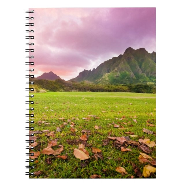 Cuaderno Puesta del sol jurásica (Frente)