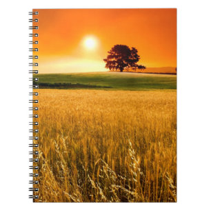 Cuaderno Puesta del sol roja sangre
