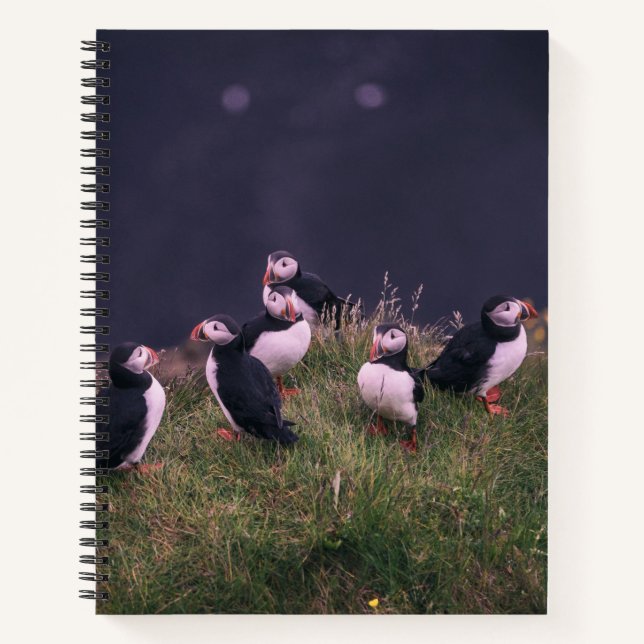 Cuaderno Puffins atlánticos (Anverso)