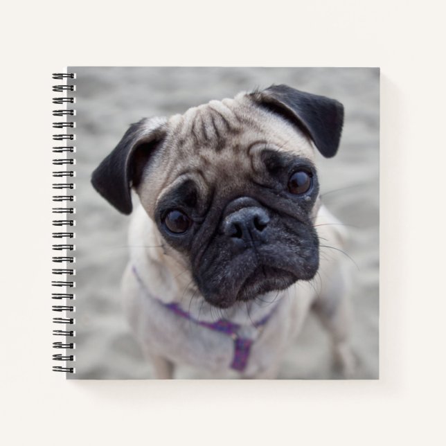 Cuaderno Pug Closeup (Anverso)