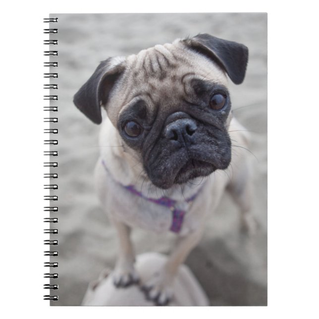 Cuaderno Pug Closeup (Frente)