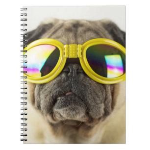 Cuaderno Pug con gafas