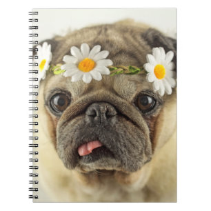 Cuaderno Pug con la corona de margarita