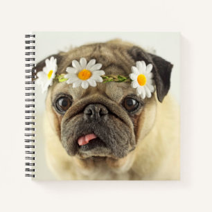 Cuaderno Pug con la corona de margarita