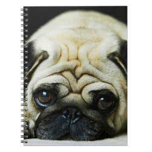 Cuaderno Pug. cuajo