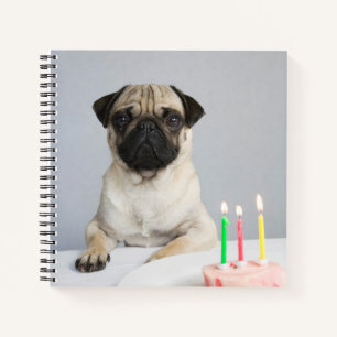 Cuaderno Pug de cumpleaños